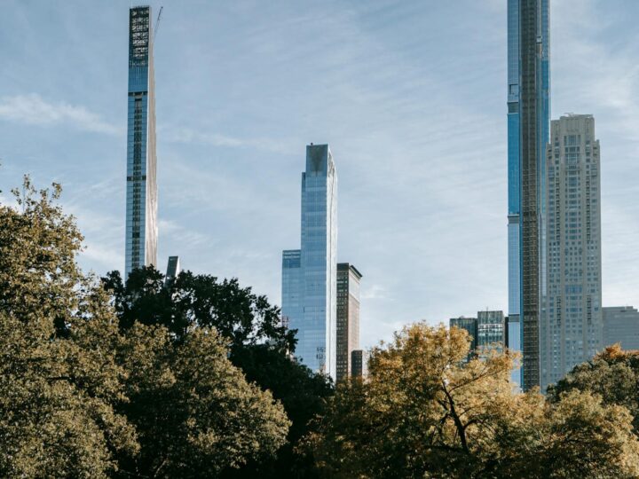 Central Park Simion Brnuiu